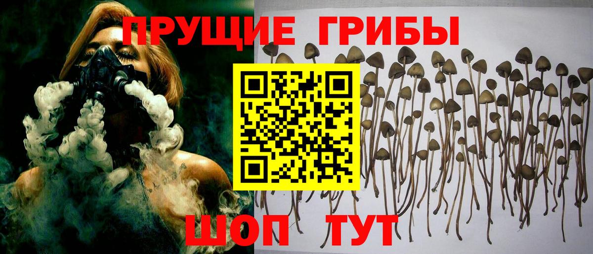 Заринск  Галлюциногенные грибы ЛСД  Псилоцибиновые грибы мицелий  Вход с VPN 