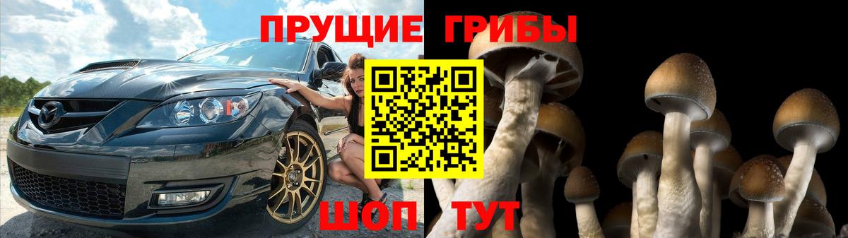 Галлюциногенные грибы Psilocybine cubensis Заринск